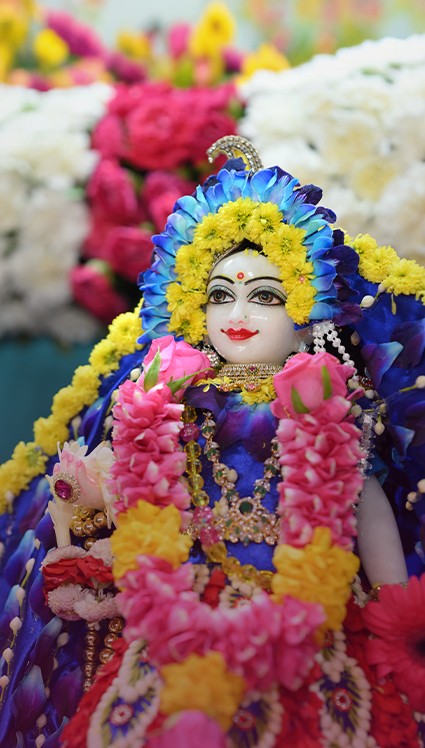 Radha Ashtami Festival Background
